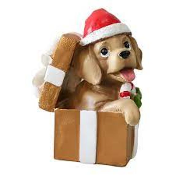 Suvenir\ Сувенир İt (hədiyyə qutusunda)