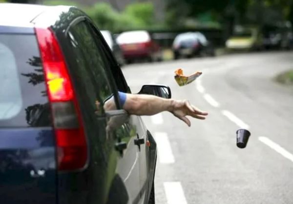 Мусорящих водителей будут штрафовать по камерам: когда система заработает