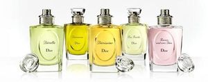 Christian Dior Forever and Ever Dior