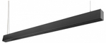 Подвесной светильник Loft it Vim 10318/C Black