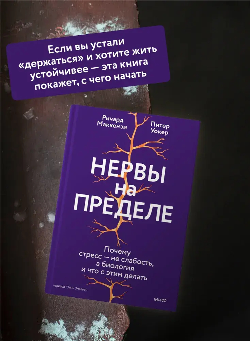 Нервы на пределе. Почему стресс — не слабость, а биология, и что с этим делать