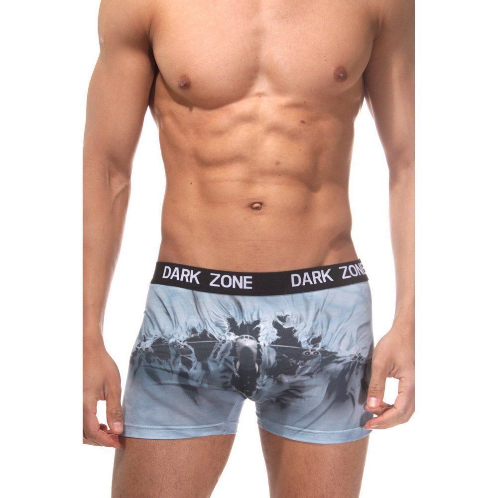 Трусы мужские боксеры с 3D принтом DARKZONE DZN1004
