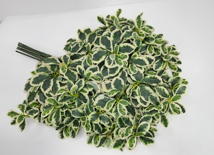 Шеффлера 3D / Арт. 1081