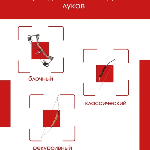 Стрелы для лука микс карбон 6шт