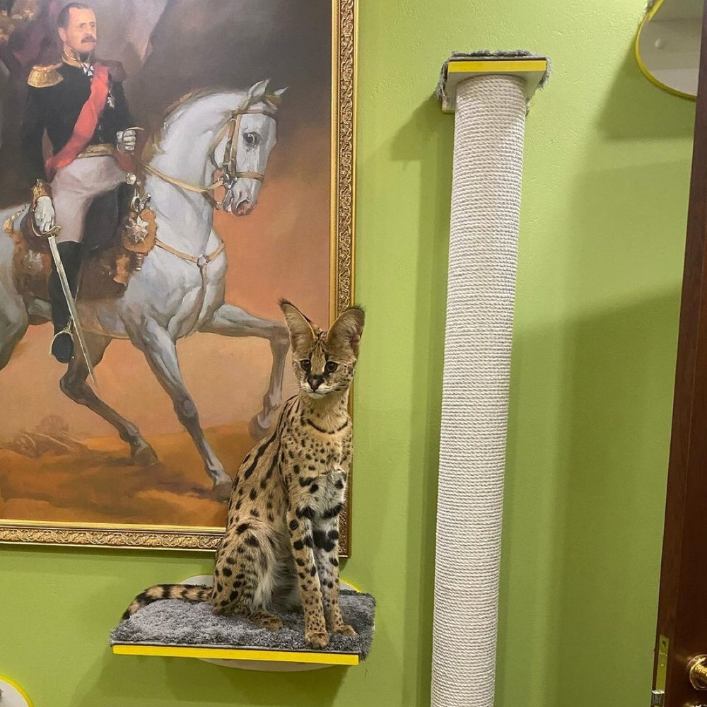 Колонна настенная