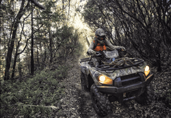 Квадроцикл BRUTE FORCE 750 4X4I EPS Camo (ПСМ)