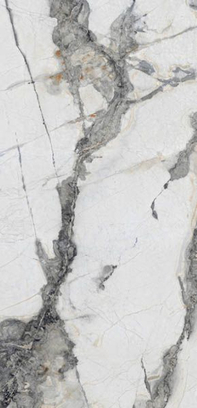 Керамогранит Titanium Renoir (N20344)