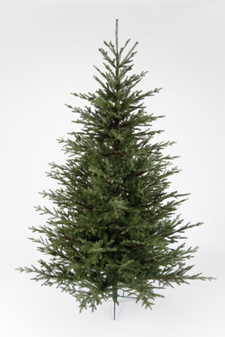 Ель Французская 100% литая зеленая Black Box