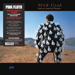 Pink Floyd / Delicate Sound Of Thunder (2LP)