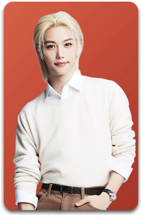 Карта / STRAY KIDS #1325