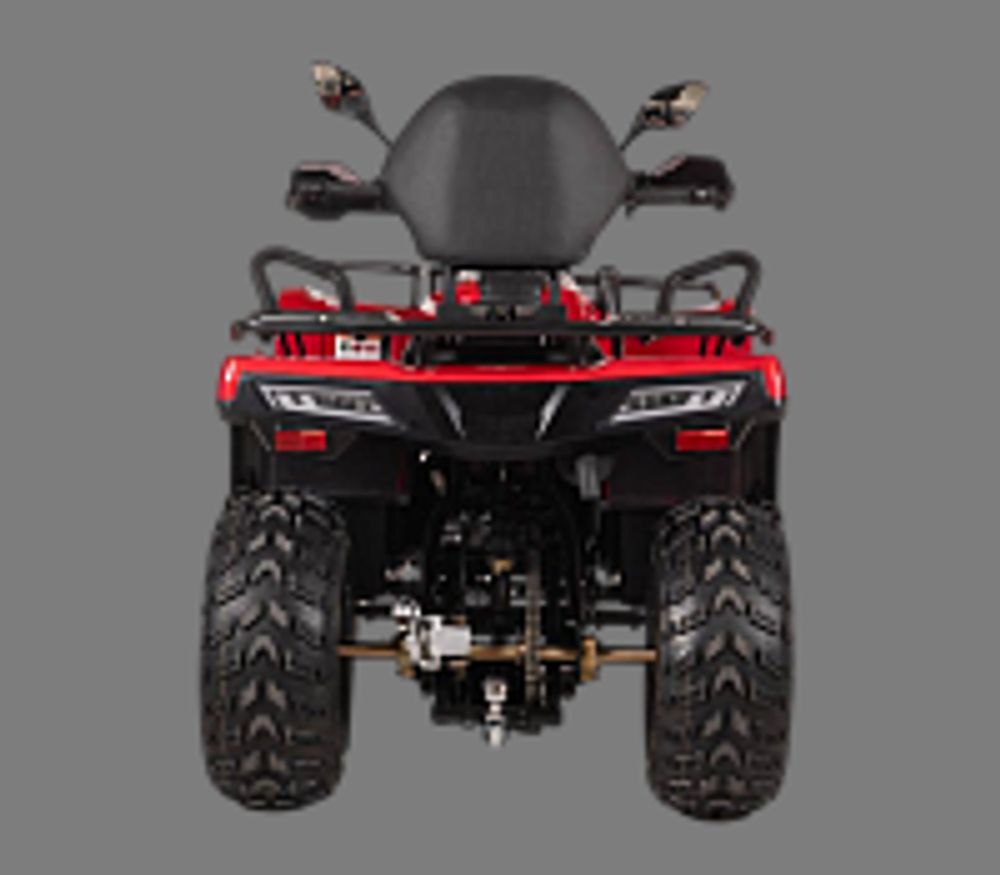 Квадроцикл Bizon YK250 LUX EFI