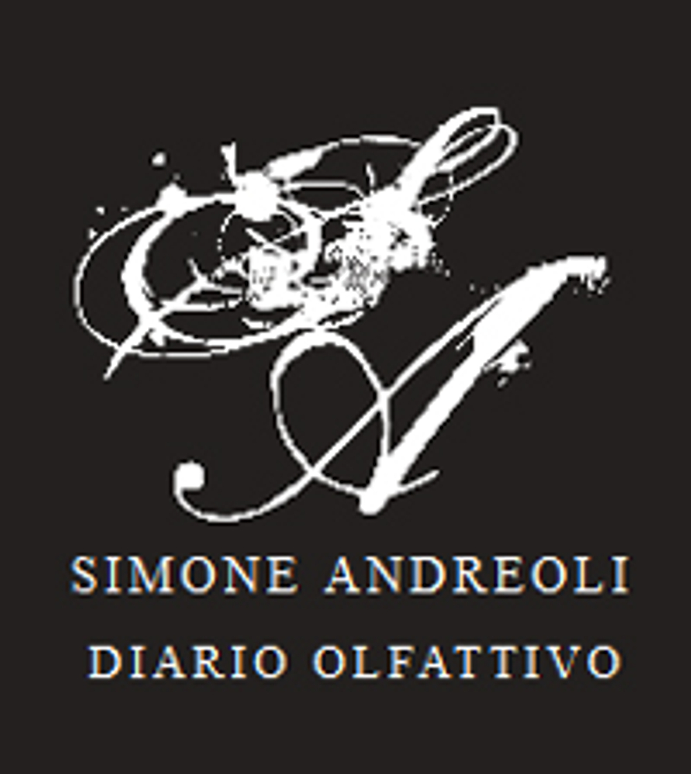 simone andreoli don't ask me permission edp 100 ml NEW