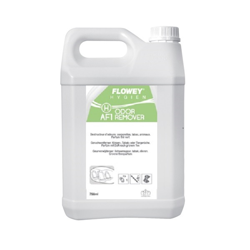 Уничтожитель неприятных запахов в салоне автомобиля ODOR REMOVER, канистра 5л. c ароматом зеленого чая, FLOWEY (Люксембург)