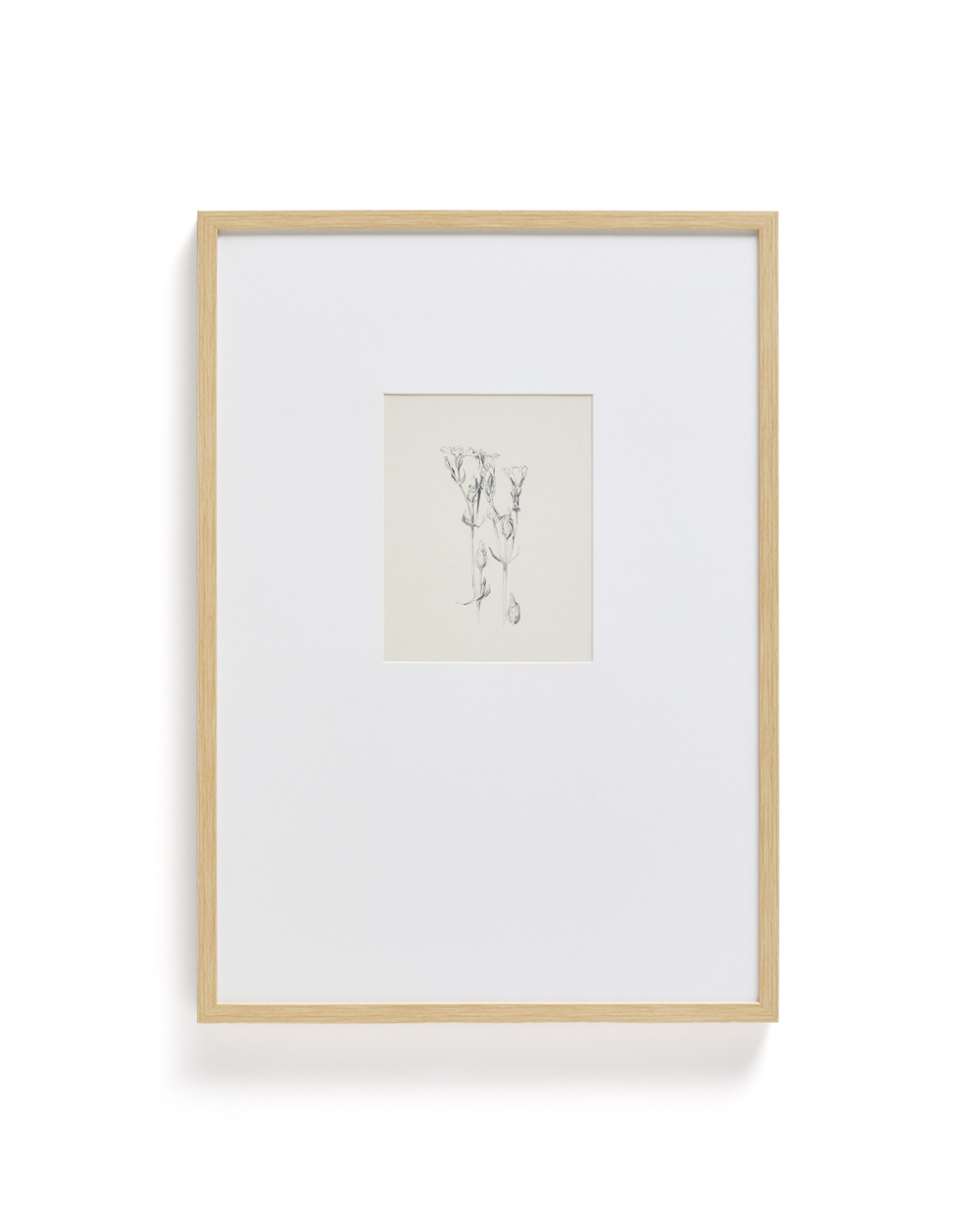 Картина Lirena с ботанической иллюстрацией 50 x 70 см