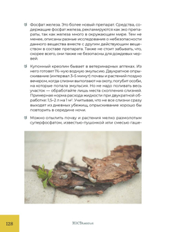 ХОСТАмагия. Катерина Резник