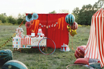 Гирлянда "Happy Birthday" в стиле Цирк 2.7м