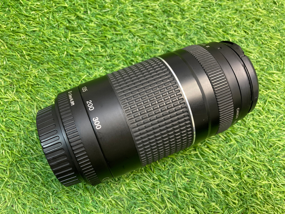 Canon EF 75-300mm 4-5.6 III