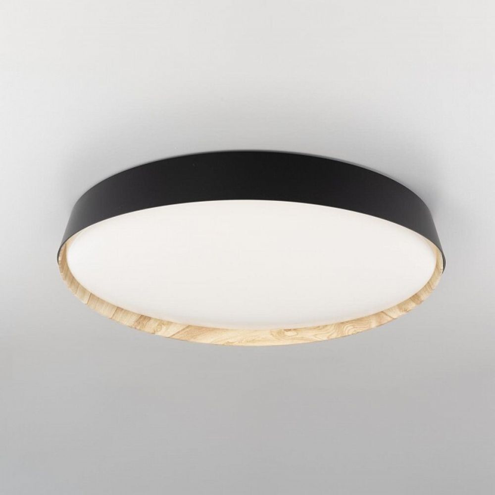 Накладной светильник Citilux BONNY CL754451G