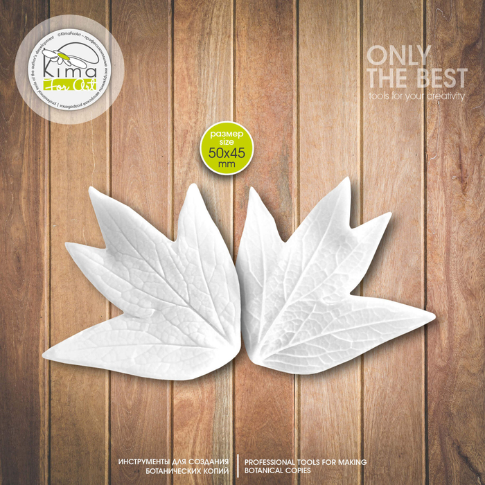 Пион древовидный лист маленький