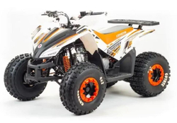 Квадроцикл MOTOLAND 125 COYOTE (2021 Г.)