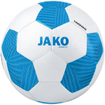 Мяч тренировочный Striker 2.0
