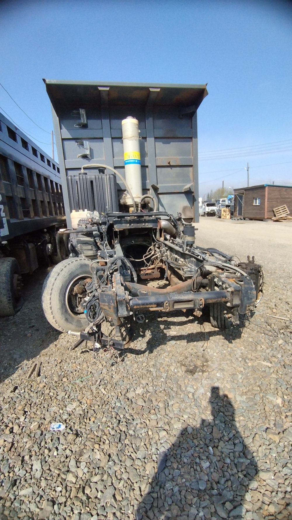 Shacman (Shaanxi) SX* 8x4 Самосвал SX33186T366 (Дизельный, 11,6 л, 369 л.с., МТ)