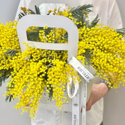 «Мимозье» композиция из мимозы