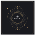 Aroma Box "Заколдованные ароматы – Огонь, Вино и Вечерние тени"