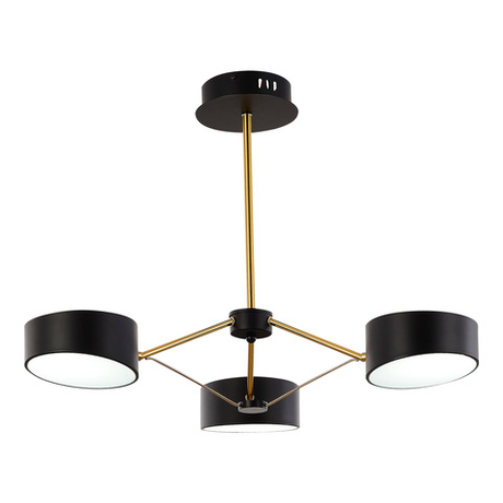 Светильник потолочный Evoluce Valle SLE6005-402-03