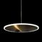 Подвесной светодиодный светильник Loft IT Ruedo 10036/300