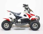 Электроквадроцикл Green Camel Гоби K22 (36V 500W R4 Цепь)