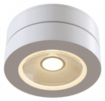 Накладной светильник Maytoni Magic C022CL-L12W