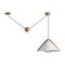 Потолочный светильник Freya Modern FR5554CL-01T