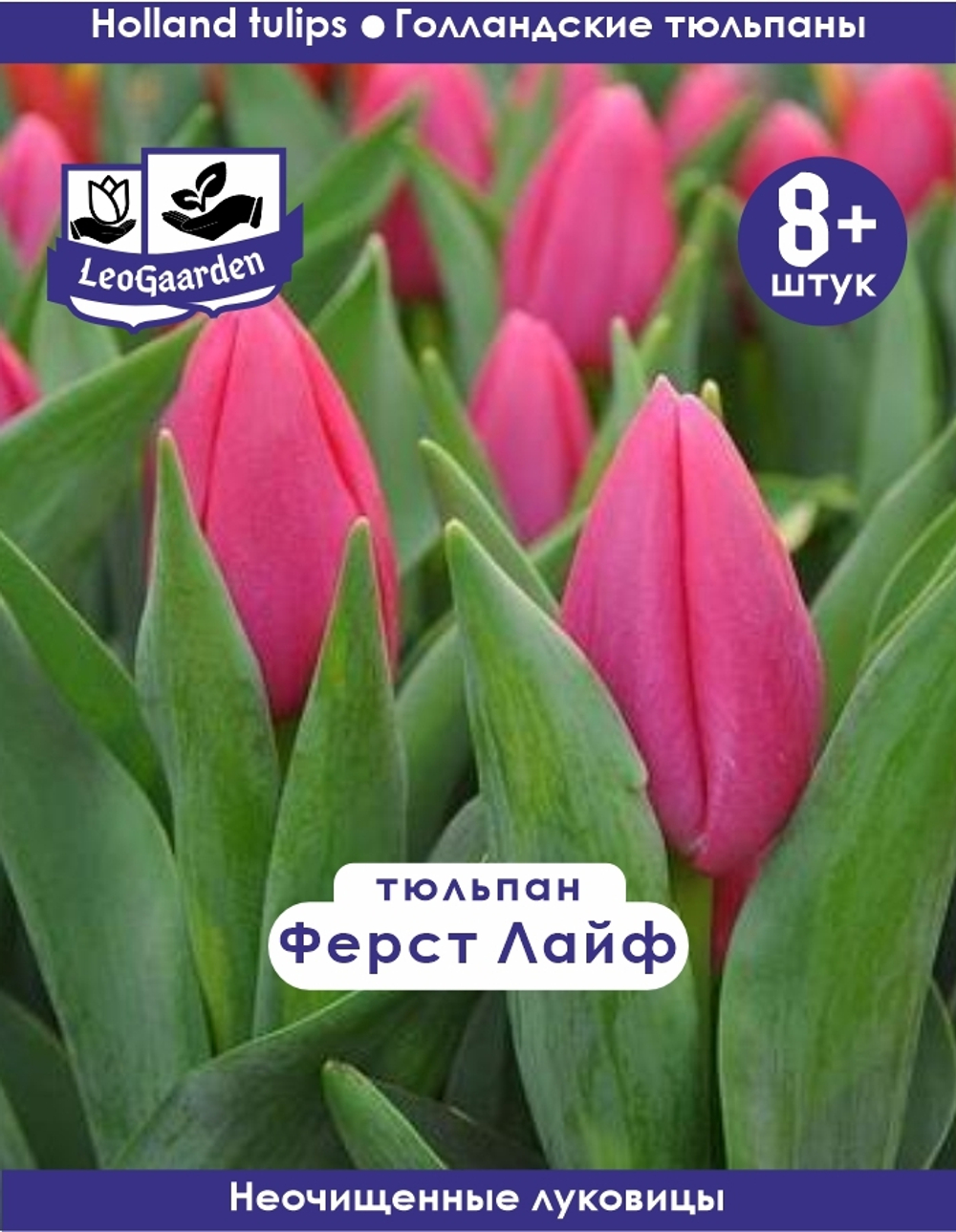 Тюльпан Луковица, Ферст Лайф, 8+ шт