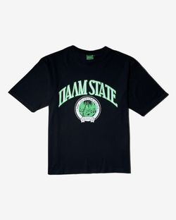 Футболка Palm State Черная