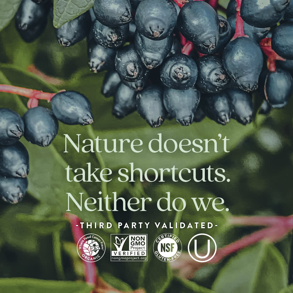 New Chapter, Иммунная защита, витамин C + бузина, 30 вегетарианских таблеток