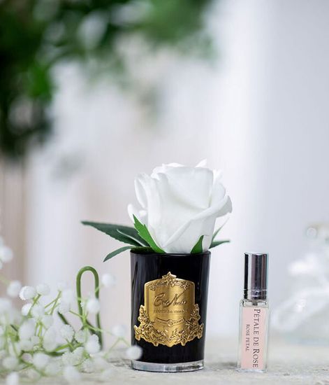 Ароматизированная роза слоновая кость в черной вазе, Cote Noire
