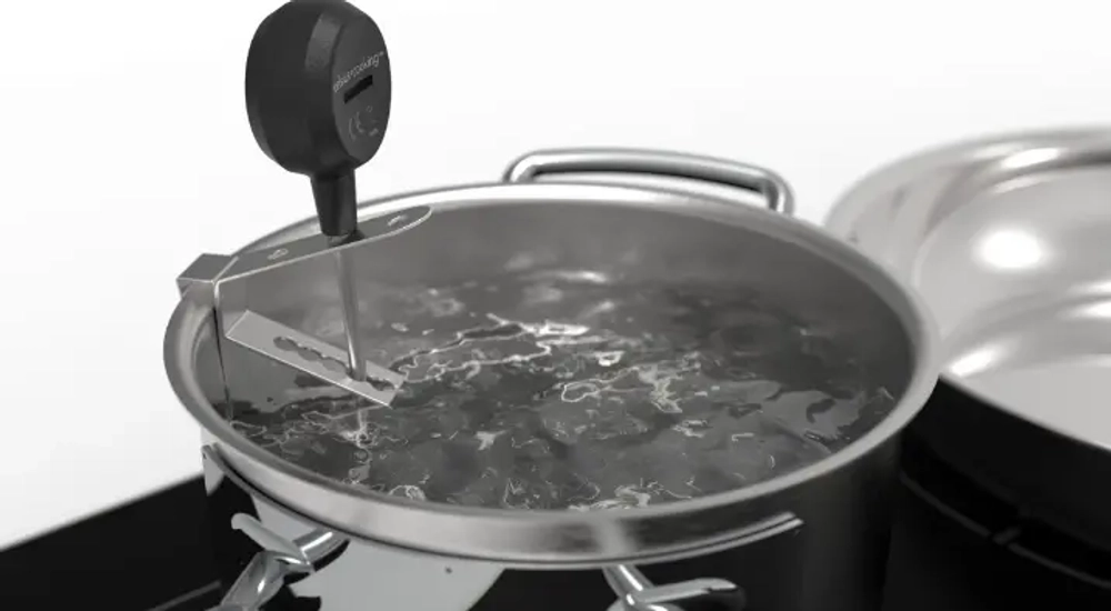 Термозонд Asko Probe Celsius Cooking фото 3