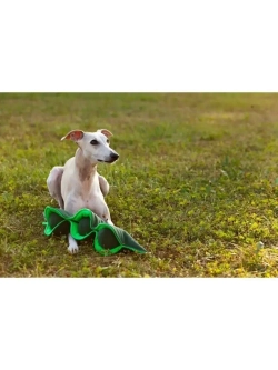 Нюхательный коврик для собак и лакомств