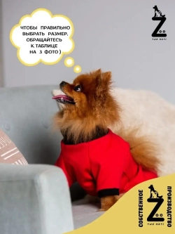 Комбинезон для собак кошек сфинкс кофта костюм для животных