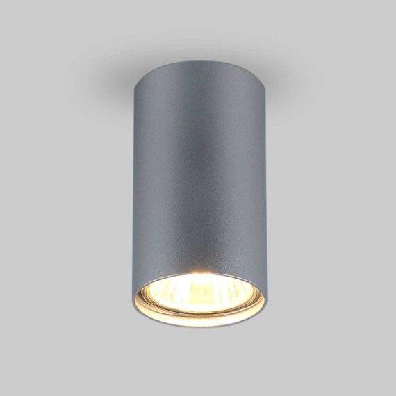 Потолочный светильник Elektrostandard 1081 5257 GU10 SL серебро a037714