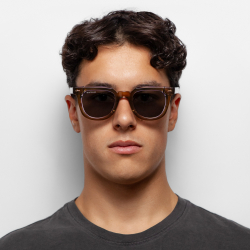 Очки солнцезащитные WHITELAB Coin Violet Brown/Grey