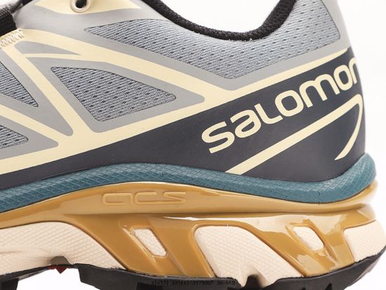 Кроссовки Salomon XT-6 GTX Bleached Sand/Cumin