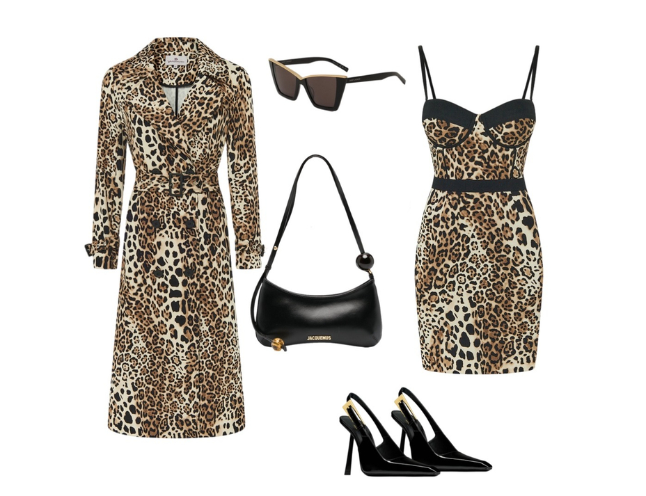 "Wild cat"