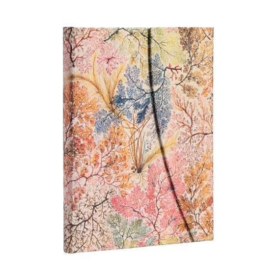 Bloknot \ Блокнот \ Notebook Paperblanks  William Kilburn I Anemone I Ultra I Lined