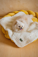 Плед "Пони-сони" Белый