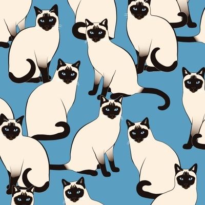Толпа сиамских кошек