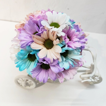 Цветная хризантема в кашпо велосипед