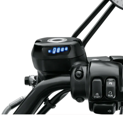 75031-09 Индикатор уровня топлива SPORTSTER