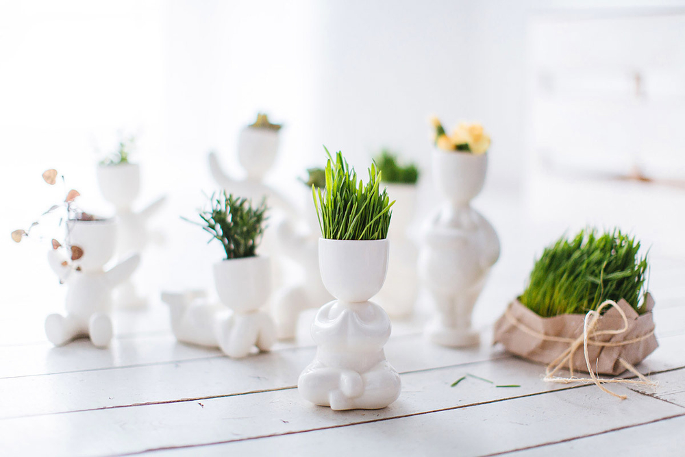 Набор для выращивания eco Йог